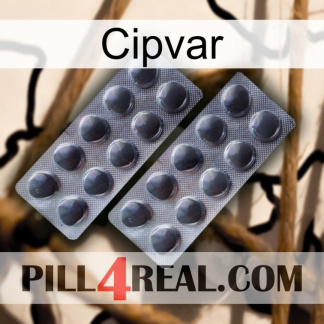 Cipvar 31